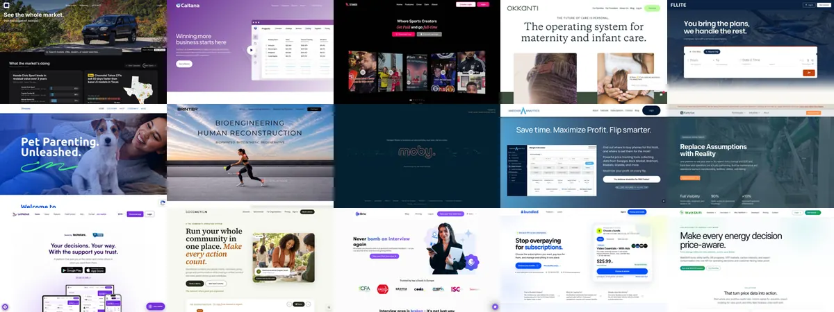 Fifteen randomly chosen Techstars homepages
